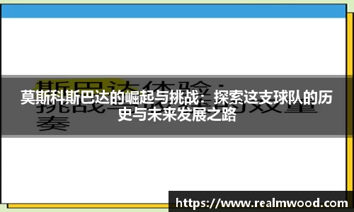 mk体育平台
