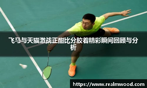 飞马与天猫激战正酣比分胶着精彩瞬间回顾与分析